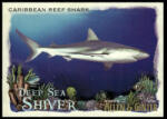 Topps 2021-22 Topps Allen & Ginter Deep Sea Shiver #DSS-13 Caribbean Reef Shark