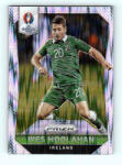 Panini 2016-17 Panini Uefa Euro Prizm Base Flash Prizms #229 Wes Hoolahan