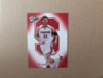 PressPass 2008 Press Pass Target Box Blasters #TAR2 Brook Lopez