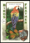 Topps 2021-22 Topps Allen and Ginter Birds of a Feather #BOF-3 Scarlet Macaw