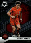 Panini 2021-22 Panini Mosaic Road to FIFA World Cup #83 Daniel James