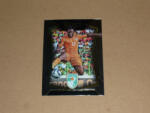 Panini 2015 Select #92 Wilfried Bony
