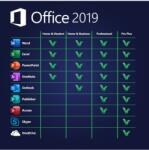 Microsoft Office 2019 Professional Plus, 32/64 bit, Toate limbile, Licenta electronica - Non-Redeem