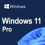 Microsoft Windows 11 PRO, OEM, 32/64 bit, Toate limbile, Licenta Electronica