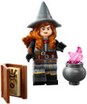 LEGO® 2024 LEGO® Újdonságok Tasha, a boszorkánykirálynő coldnd-12 (coldnd-12)