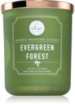 DW HOME Signature Evergreen Forest lumânare parfumată 445 g