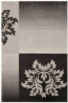  Bakero Casablanca 1034-05 silver Szőnyeg (140x200 cm) (506)