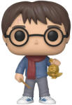 Funko POP! Harry Potter (Harry Potter Holiday) (POP-0122)