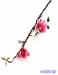 Magnolia ág 2v 39cm - Világos Rózsaszín