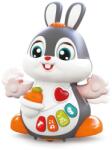 HOLA Jucarie interactiva iepurasul dansator Hola Toys (HE9991)