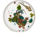 Oranjollie Decor unghii Flori W62 09 Oranjollie