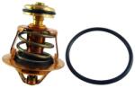 REGULUS Element Termostatic Piesa De Schimb Pentru Tsv3b 5b 45c Vb24 (12102)