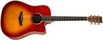 Tanglewood TW5 CE SB