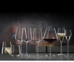 Spiegelau Комплект чаши за шампанско Spiegelau Definition Champagne 250 ml (2 броя) (1350169)