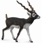 CollectA Figurina pictata manual antilopa blackbuck (COL88638L) - bravoshop Figurina