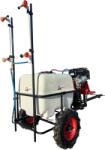 Gardelina Aparat de stropit Gardelina - DVS Be200 TRAILER Micro cu motor Briggs & Stratton 7 CP electric start (D18080209) Pulverizator