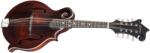 Eastman MD315