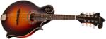 Eastman MD314E-SB