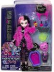 Monster High Papusa Monster High Creepover Party, Draculaura Papusa