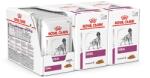 Royal Canin Royal Canin VHN Dog Renal 36 x 100 g