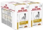 Royal Canin Royal Canin VHN Dog Urinary S/O Moderate Calorie Pouch 24 x 100 g