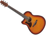 Ibanez AAM50LCE-OLB