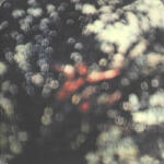 Records Disc vinil PINK FLOYD - OBSCURED BY CLOUDS (180G AUDIOPHILE PRESSING) - LP (190295996970)