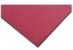 Kaskad Dekorációs karton KASKAD 50x70 cm 2 oldalas 220 g bordó 22 (991322/991342) - irodaszer