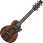 Ibanez EWP13-DBO