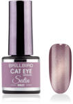 BrillBird TPO FREE HEMA Free CAT EYE SATIN - Violet 4 ml