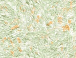 SILKCOAT ТЕЧЕН ТАПЕТ prestige silkcoat 0.750кг 211 (7211)