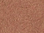 SILKCOAT ТЕЧЕН ТАПЕТ prestige silkcoat 0.750кг 335 (7335)