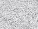SILKCOAT ТЕЧЕН ТАПЕТ prestige silkcoat 0.750кг 310 (7310)