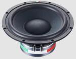 STEG Subwoofer Auto Steg SS10