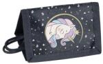 PASO Unikornisos pénztárca - Dream come true (PP24UR-002) (PP24UR-002)