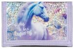 DERFORM Unikornisos pénztárca - Born to be a unicorn (PFJR15) (PFJR15)