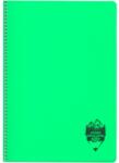 DACO Caiet A4 cu spira si coperta plastic Daco CT496DR, 96 file, 70 g/mp, Dictando, Verde (CT496DR/VERDENEON)