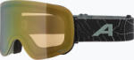 Alpina Síszemüveg Alpina Penken Q-Lite willow/ green matt/ gold