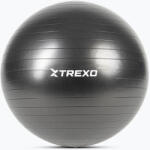 XTREXO Minge de gimnastică XTREXO TXO-B4Z009-BK 75 cm negru Minge fitness