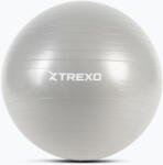 XTREXO Minge de gimnastică XTREXO TXO-B4Z008-GY 65 cm gri Minge fitness