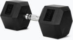 XTREXO Halteră cauciucată XTREXO Hex 22.5 kg