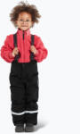 Didriksons Pantaloni de schi pentru copii Didriksons Idre black
