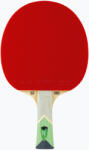 Tibhar Rachetă de tenis de masă Tibhar XXX Green Edition