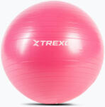 XTREXO Minge de gimnastică XTREXO TXO-B4Z007-PK 55 cm roz Minge fitness