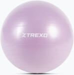 XTREXO Minge de gimnastică XTREXO TXO-B4Z008-VT 65 cm violet Minge fitness