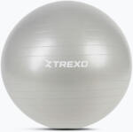 XTREXO Minge de gimnastică XTREXO TXO-B4Z009-GY 75 cm gri Minge fitness