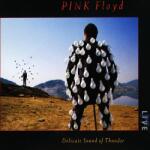 WARNER Pink Floyd - Delicate Sound Of Thunder (2cd) (2a8272)