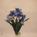  Írisz csokor