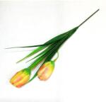  Narancssárga-sárga krókusz levéllel, virágfej mérete: kb. 2, 5x4, 5 cm