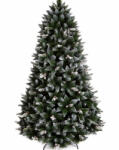 BraziCraciun. net Brad Artificial Socrate cu Ace 3D+2D si Conuri 250 cm (PA-SOK-PE-250)